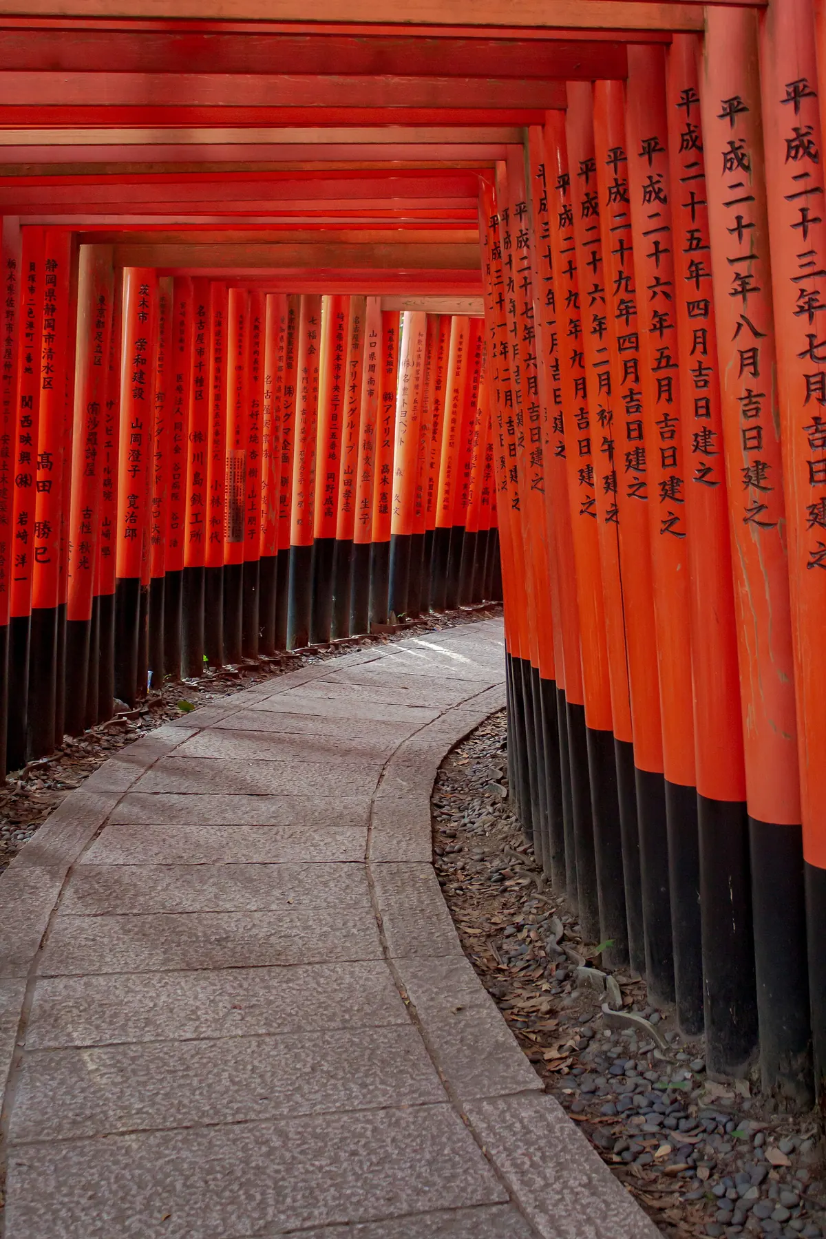 Pasillo de torii rojos en el santuario Fushimi Inari, Kioto